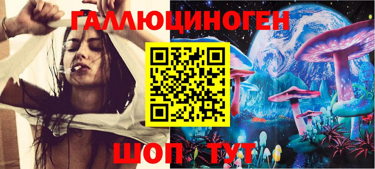 Галлюциногенные грибы мухоморы Магадан