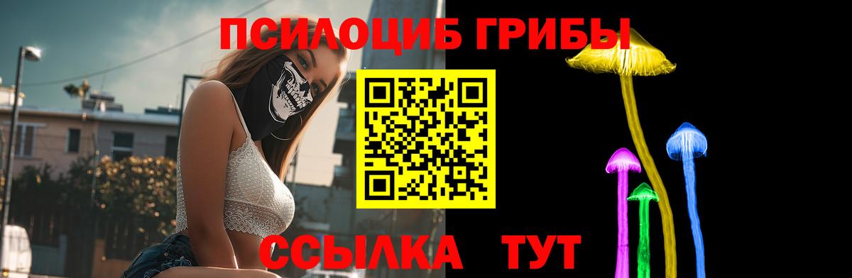 Магадан  Галлюциногенные грибы GOLDEN TEACHER  Вход с VPN  Галлюциногенные грибы мицелий 